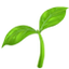 Natural resources