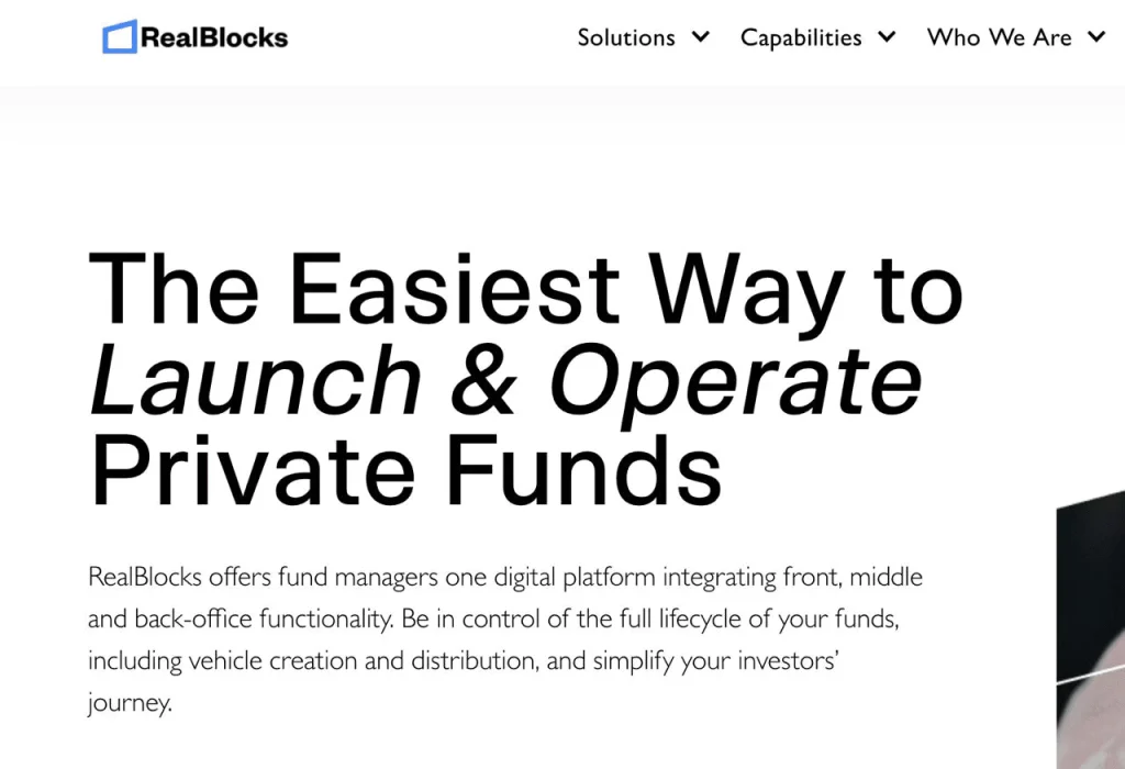 RealBlocks RealBlocks's screenshot of the interface