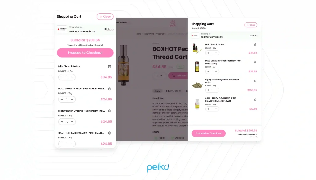 payment gateway development by Peiko